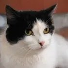 ユーザー画像
