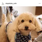 ユーザー画像