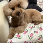 ユーザー画像