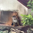 ユーザー画像