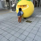 ねこじゃ