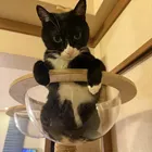 ユーザー画像