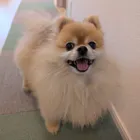 ユーザー画像