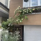 ユーザー画像