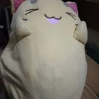 ユーザー画像