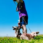 ユーザー画像