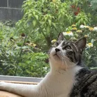 ユーザー画像
