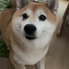 ユーザー画像