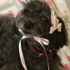 ユーザー画像