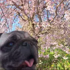 ユーザー画像