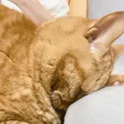 ユーザー画像