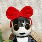 ユーザー画像