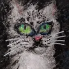 ユーザー画像
