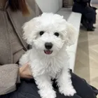 ユーザー画像