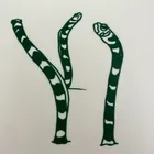 ユーザー画像