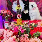 ユーザー画像