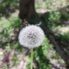 ユーザー画像