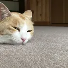 ユーザー画像