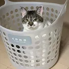 ユーザー画像