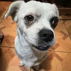 ユーザー画像