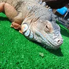 ユーザー画像