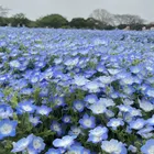 ユーザー画像