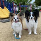 ユーザー画像