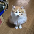 ユーザー画像