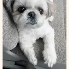 ユーザー画像