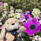 ユーザー画像
