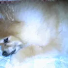 ユーザー画像