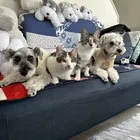 ユーザー画像