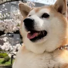 ユーザー画像