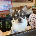 ユーザー画像