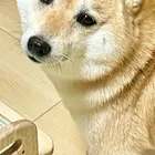 ユーザー画像