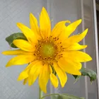 ユーザー画像