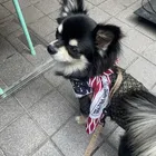 ユーザー画像