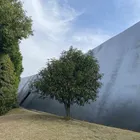 ユーザー画像
