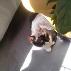 ユーザー画像