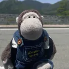 ユーザー画像