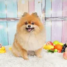 ユーザー画像