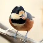 ユーザー画像