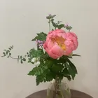 ユーザー画像