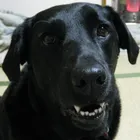 ユーザー画像