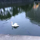 ユーザー画像