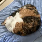 ユーザー画像
