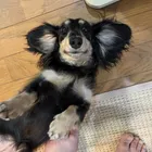 ユーザー画像