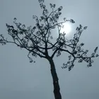 ユーザー画像