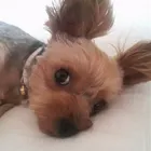 ユーザー画像