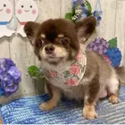 ユーザー画像